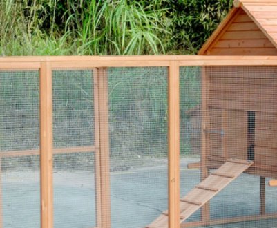 Як побудувати курник своїми руками на дачі