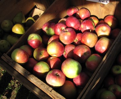 Африка, Індонезія дегустують українські екзотичні плоди