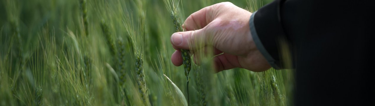 Російських фермерів долає депресія