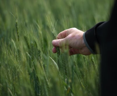 Російських фермерів долає депресія