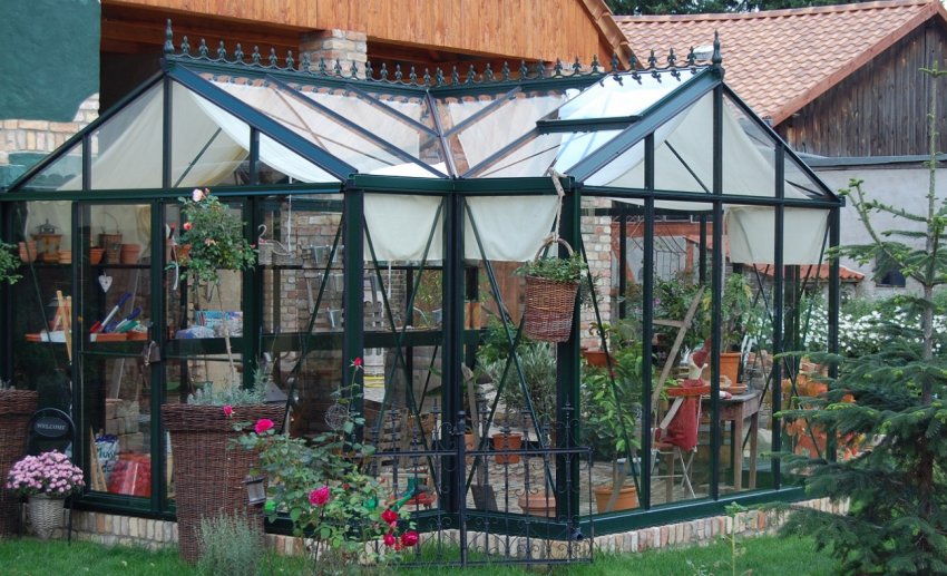 Англійська теплиця