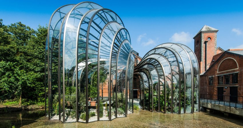 Незвичайна теплиця