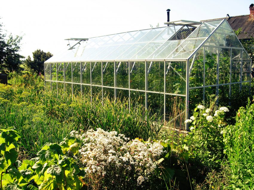 Теплиця «Удача»