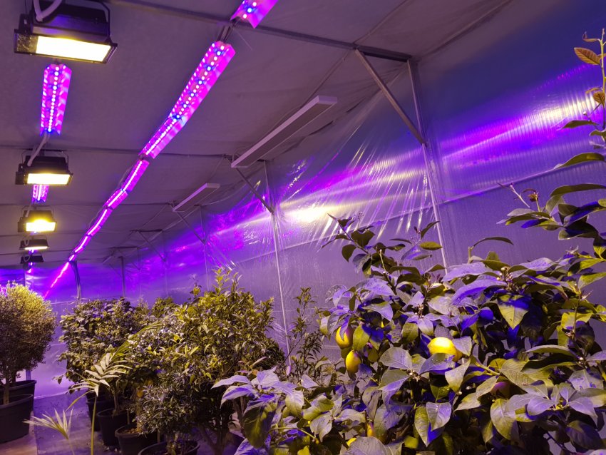 Світлодіодні лампи