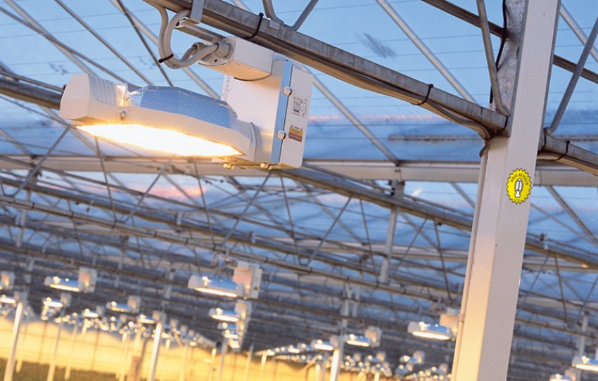 Світильник для теплиці своїми руками