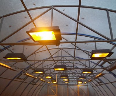 Як зробити світильник для теплиці з полікарбонату?