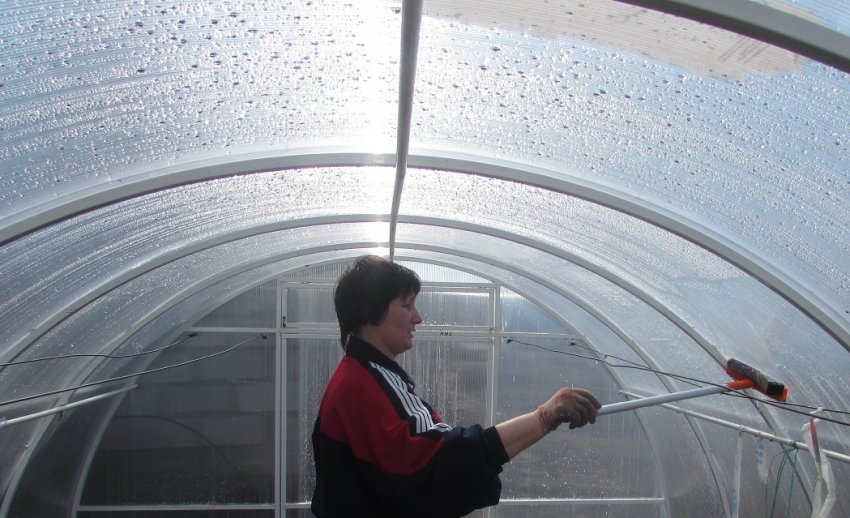 Дезінфекція теплиці Дезінфекція теплиці