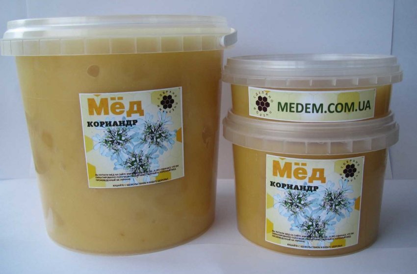 Описание и характеристика кориандрового мёда