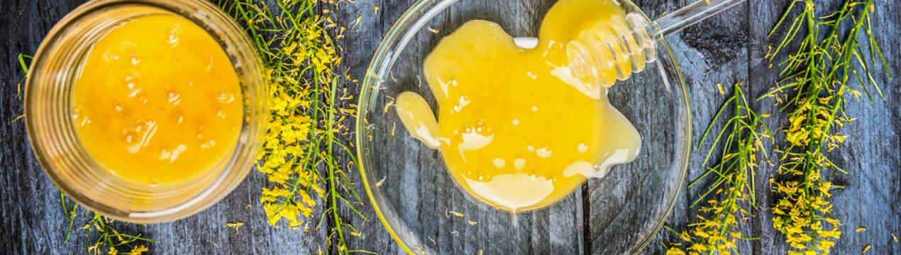 Ріпаковий мед: опис, корисні властивості та шкоду, особливості вживання