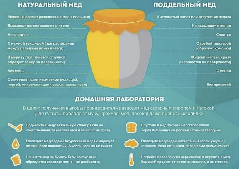 Отличия натурального и поддельного мёда Отличия натурального и поддельного мёда