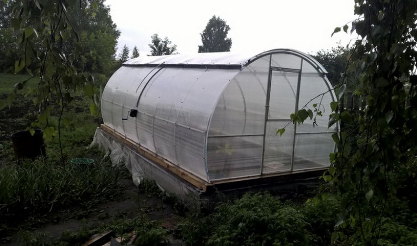 Теплиця Розумниця