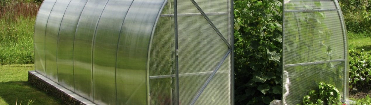 Характеристика та особливості теплиці «Розумниця»