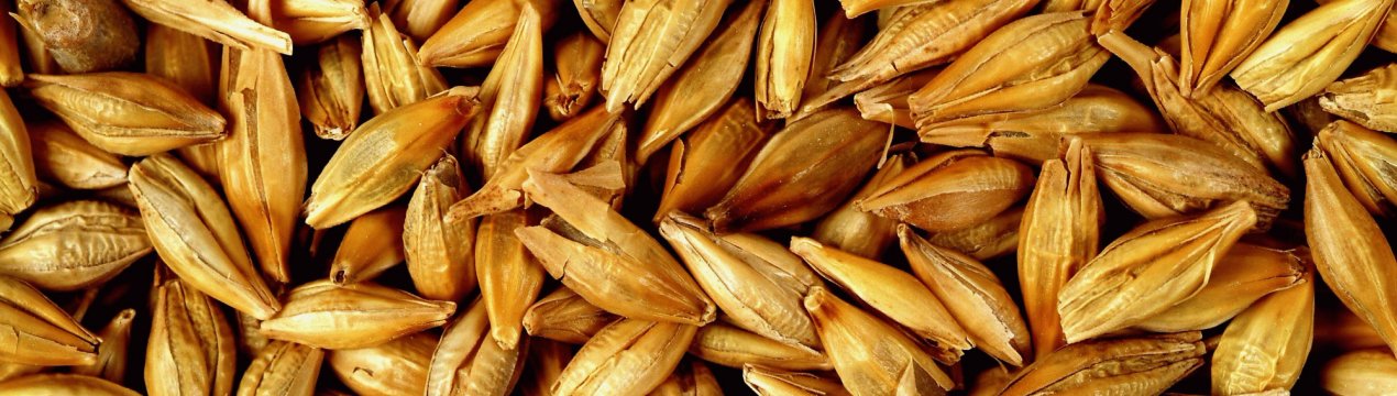 Росія вступає в двадцатилетку підвищення врожайності