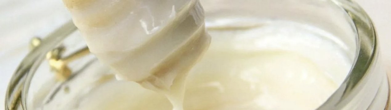 Кіпрейний мед: корисні властивості і застосування