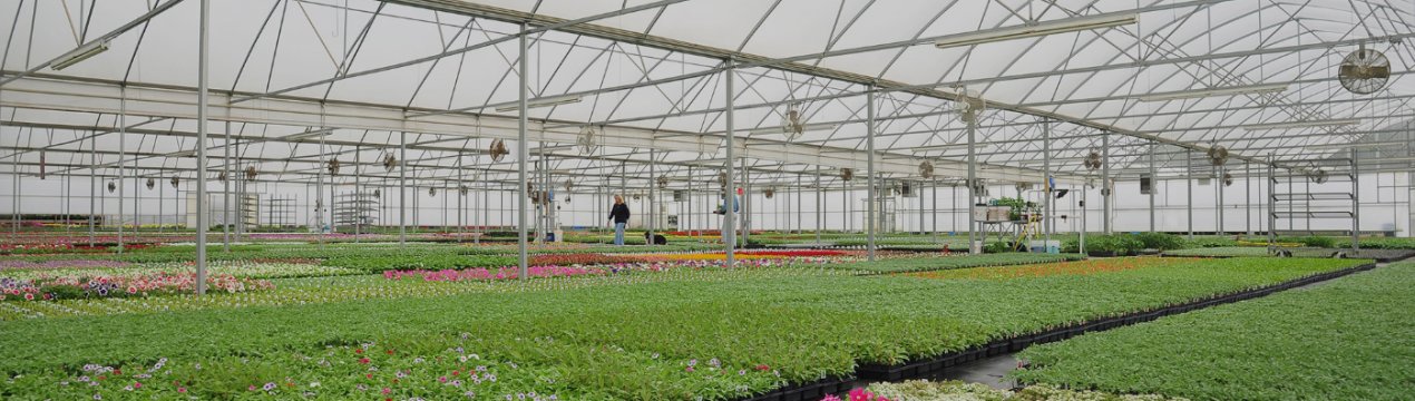 Особливості виготовлення фермерських теплиць своїми руками