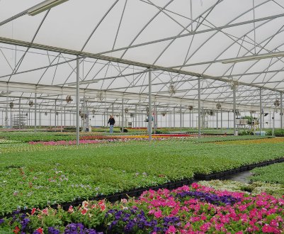 Особливості виготовлення фермерських теплиць своїми руками