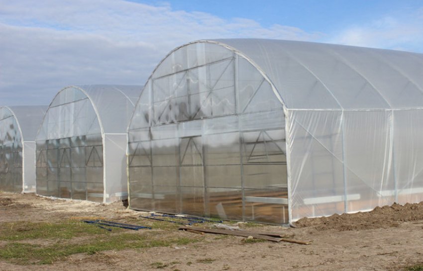 Споруда фермерської теплиці Споруда фермерської теплиці