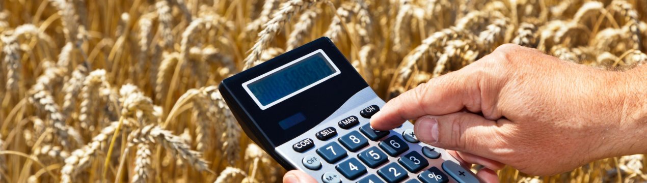 Десятки тонн російського зерна розлетілися по всьому світу