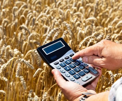 Десятки тонн російського зерна розлетілися по всьому світу