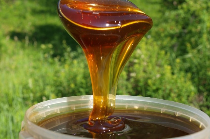 Хімічний склад і калорійність