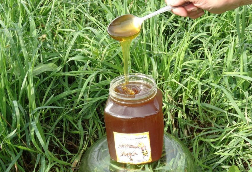 Показання до застосування