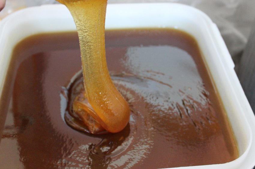 Хвороби ЛОР-органів, бронхіальна астма