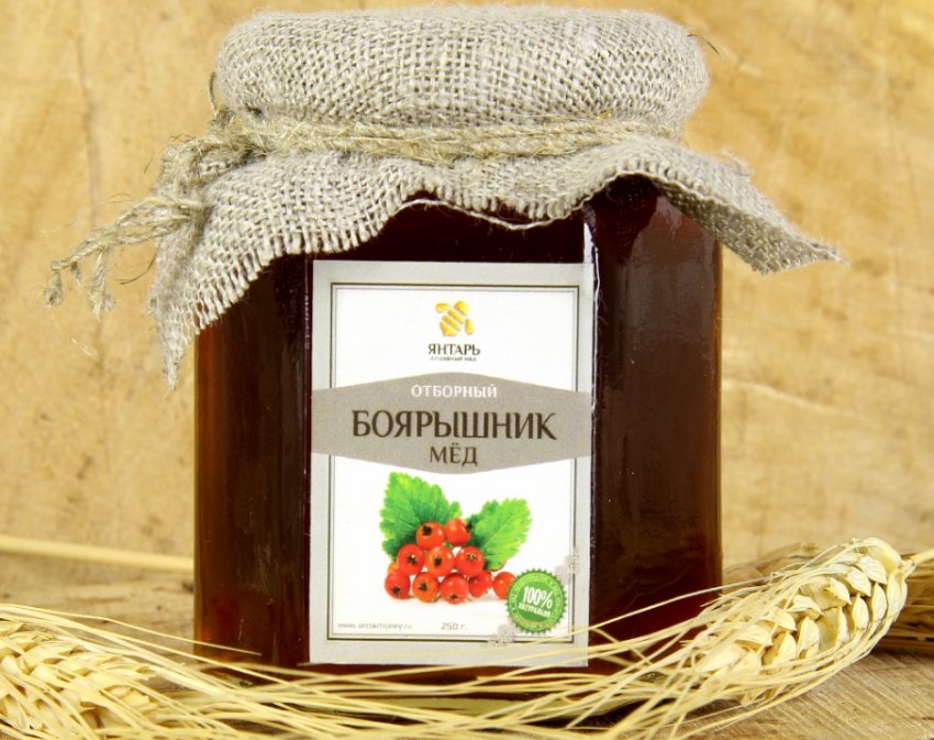 Мед з глоду