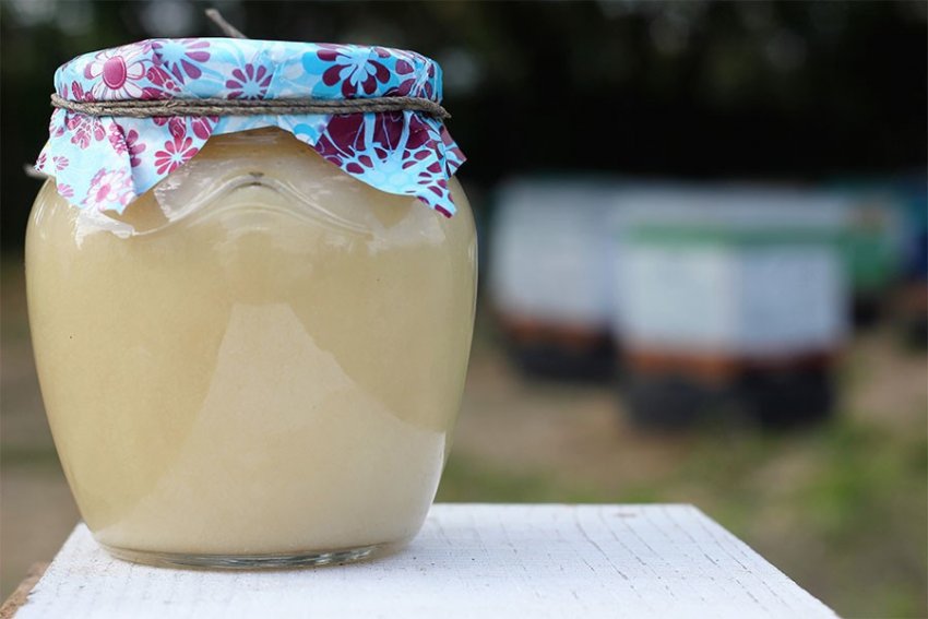 Опис та характеристика Опис та характеристика