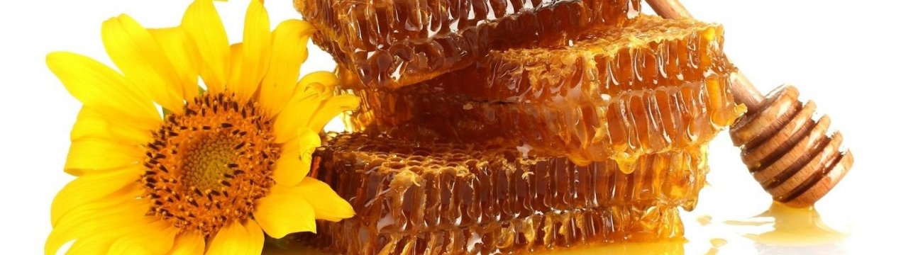 Соняшниковий мед: властивості і особливості вживання