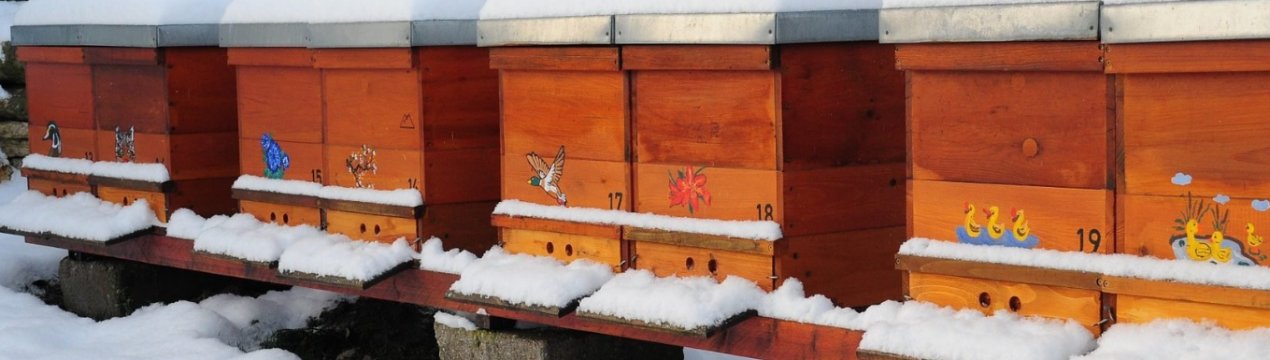 Як правильно утеплити вулик на зиму?