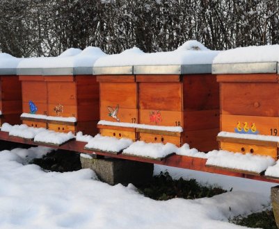 Як правильно утеплити вулик на зиму?