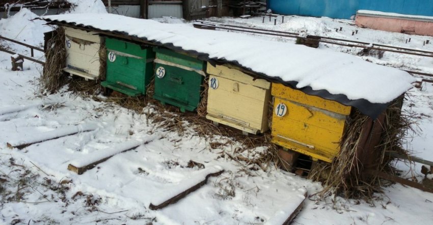 Утеплення вулик на зиму Утеплення вулик на зиму
