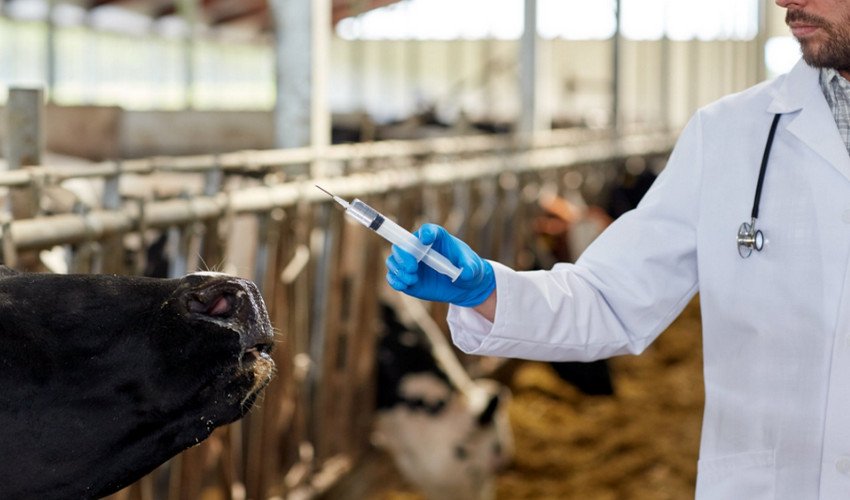 Вакцинація