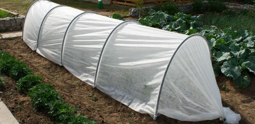 Парник з дуг