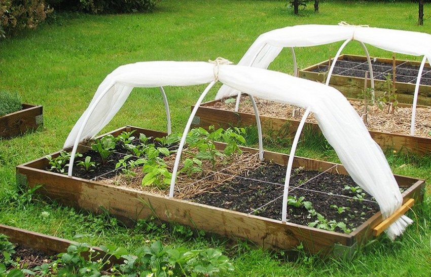 Парник укритий спанбондом