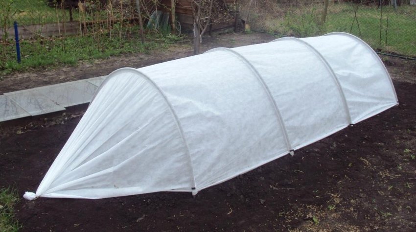 Парник «Вдалий сезон»