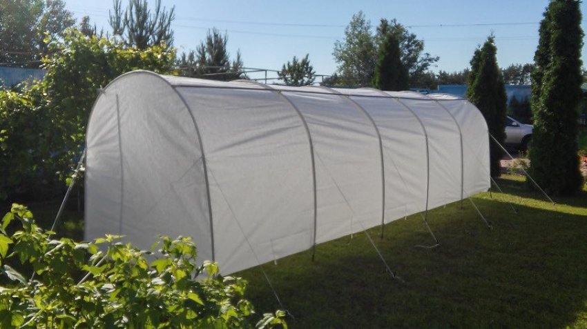 Парник «Даяс»