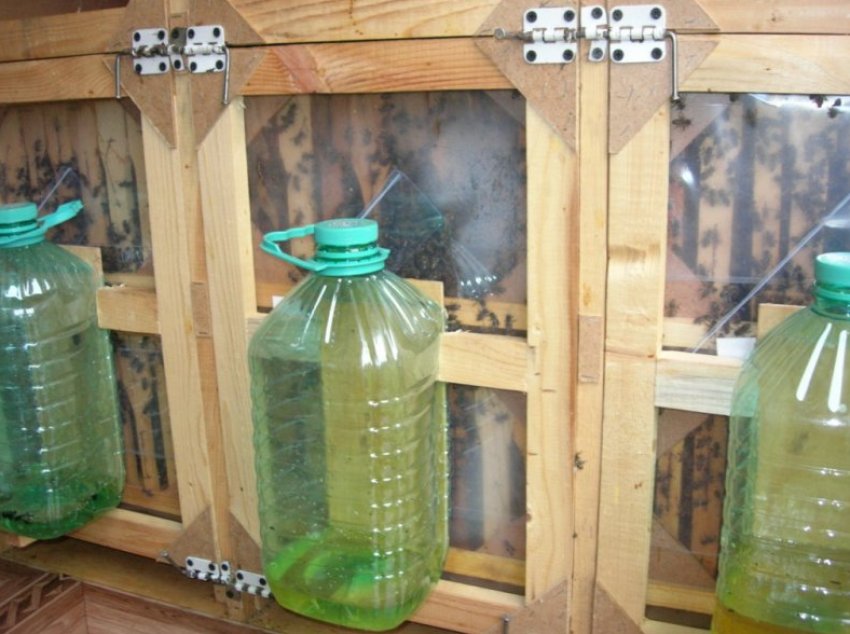 З пластикових пляшок