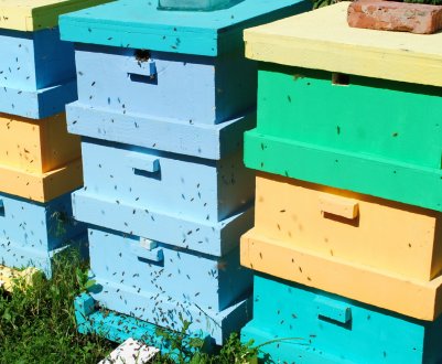 Як зробити вулики з пінополістиролу своїми руками?