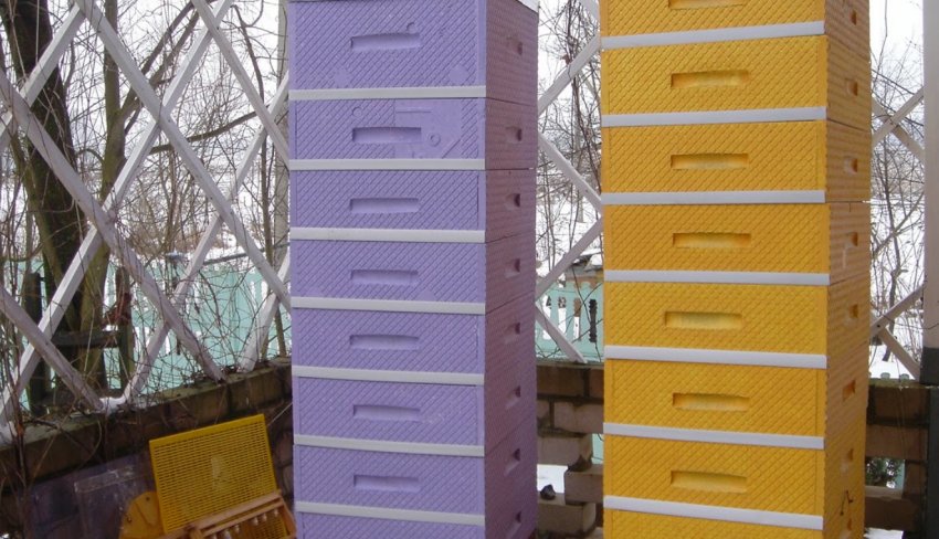 Вуликів з пінополістиролу Вуликів з пінополістиролу