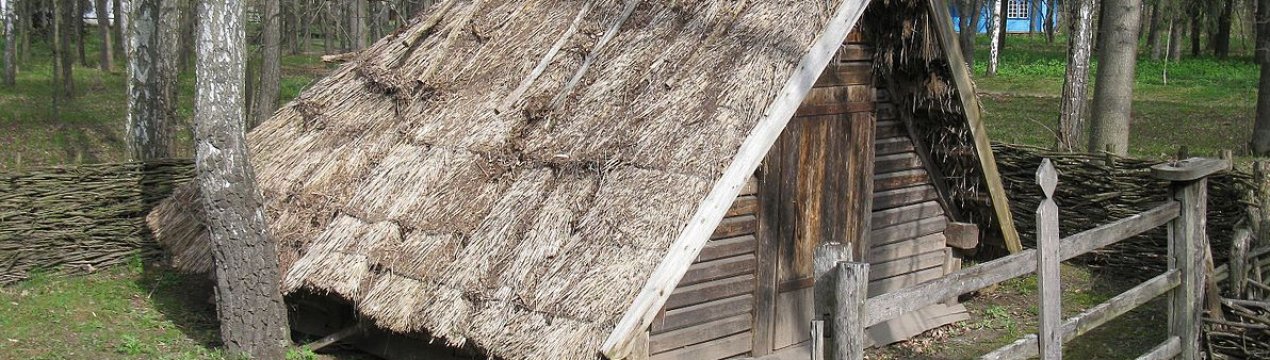 Стебник для бджіл: будівництво своїми руками, особливості зберігання бджіл