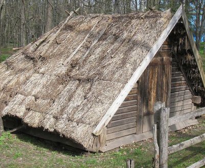 Стебник для бджіл: будівництво своїми руками, особливості зберігання бджіл