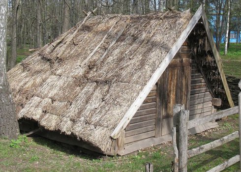 Стебник для бджіл: будівництво своїми руками, особливості зберігання бджіл