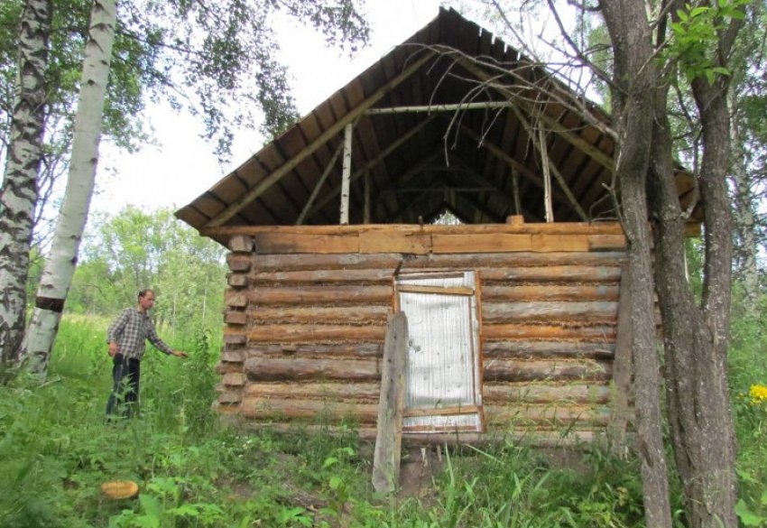 Стебник для бджіл Стебник для бджіл