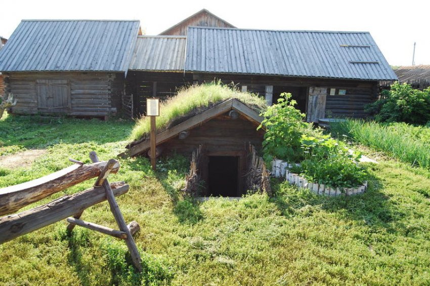 Стебник для бджіл Стебник для бджіл