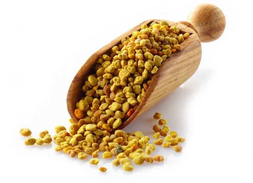 Бджолиний пилок