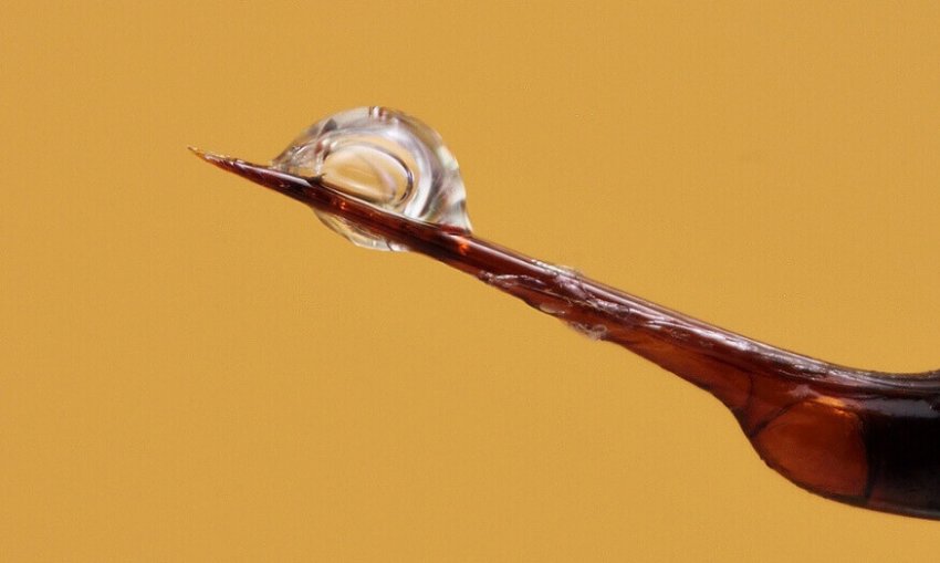 Бджолина отрута