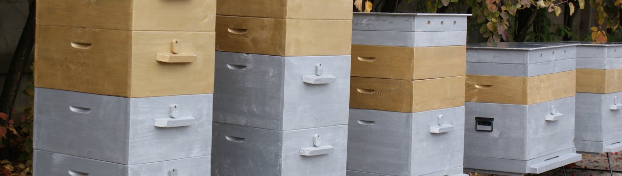 Типи бджолиних вуликів: конструкції та характеристика