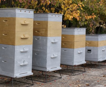 Типи бджолиних вуликів: конструкції та характеристика