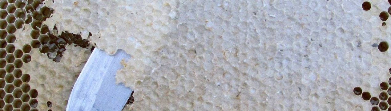 Що таке забрус і як його використовувати